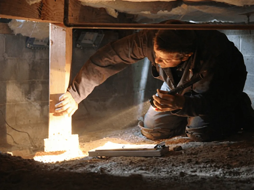 A professional inspecting wooden beams under the floor of a structure in Bellevue, WA
